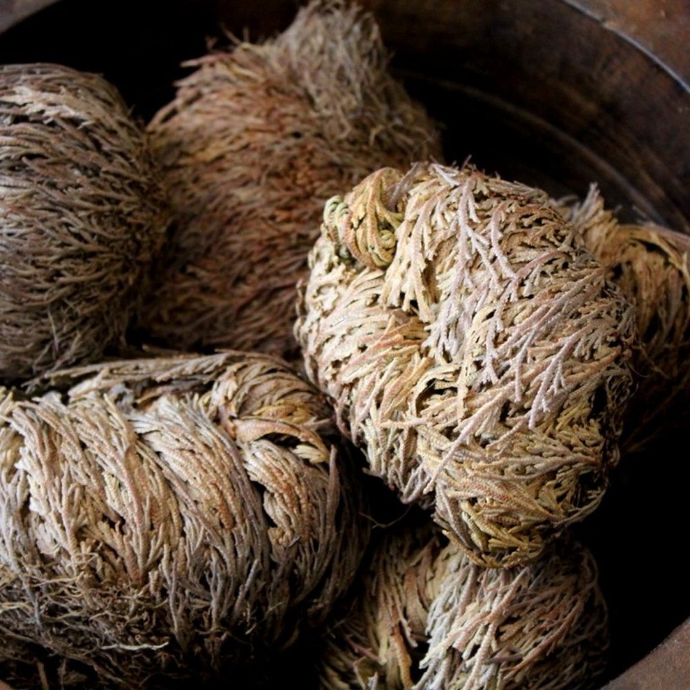 Rose of Jericho, Flower Smudge